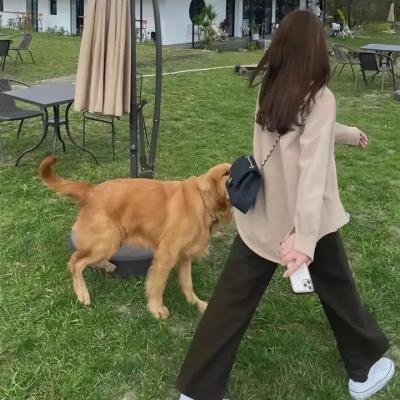 我的巨人弟弟
